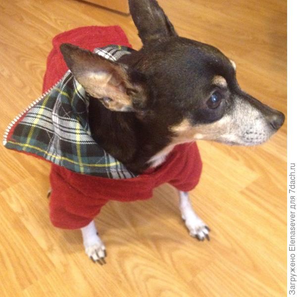 НА ПРОГУЛКУ ГОТОВА!