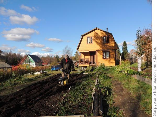 Вот и пригодился родительский культиватор (все, что осталось с прошлой родительской дачи, они думали, что не будут на новом месте дачу строить, вот и оставили все новым хозяевам).