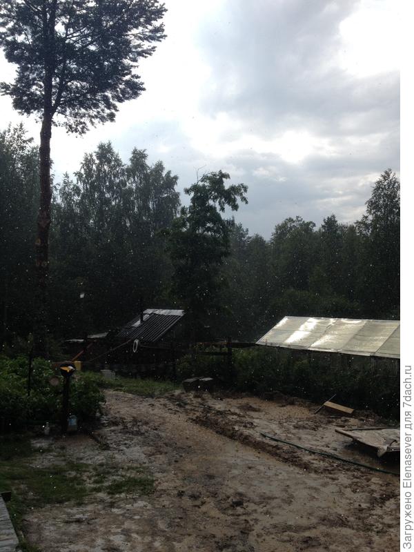 придется теперь делать здесь газон....