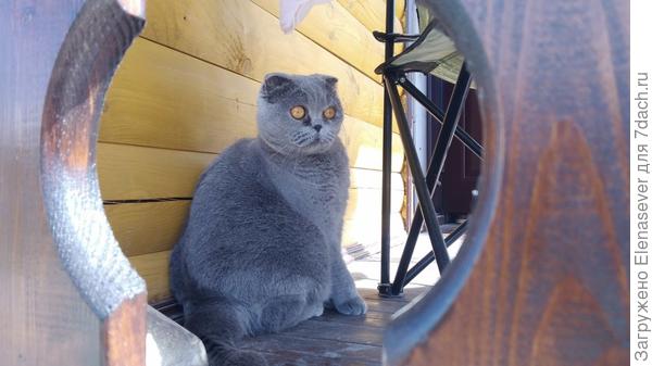 "Лучше буду наблюдать вот так...ох, и страшно интересно!"