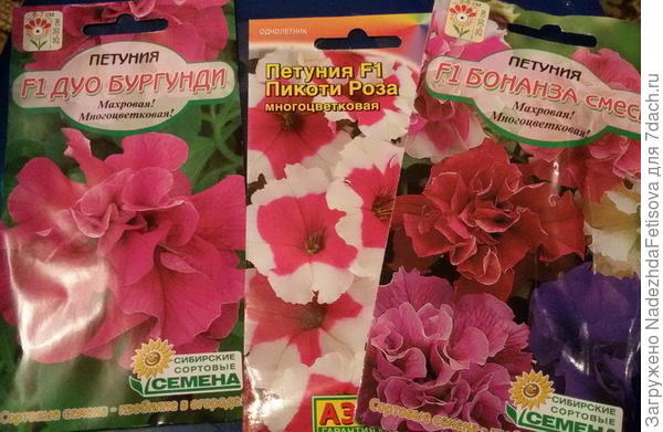 купленные семена
