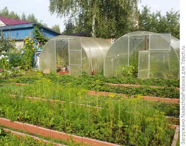 грядки летом-это у нас еще не было между ними плитки