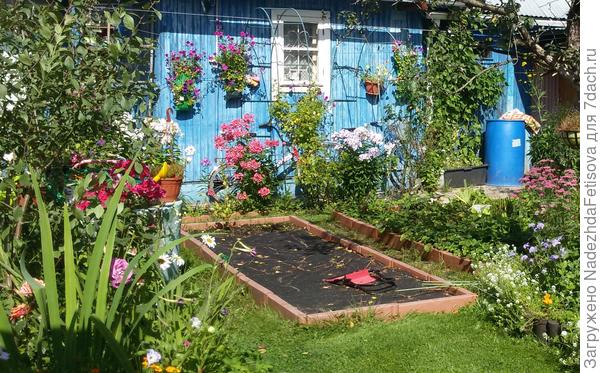 это готовится грядка под клубнику с тканью от сорняков