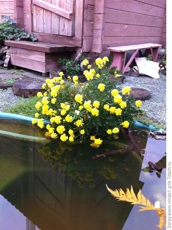 Хороши мы, хороши