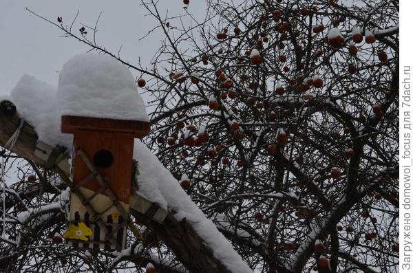 Второй вариант