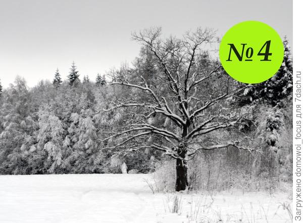 №4