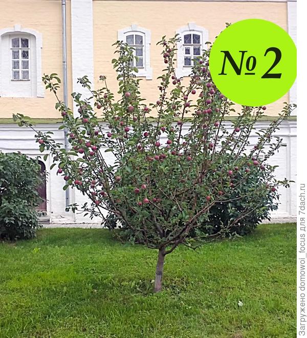 №2