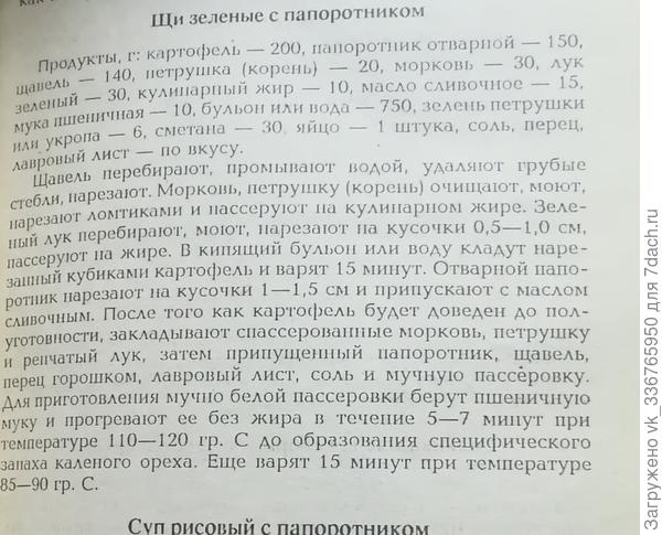 Щи с папоротника