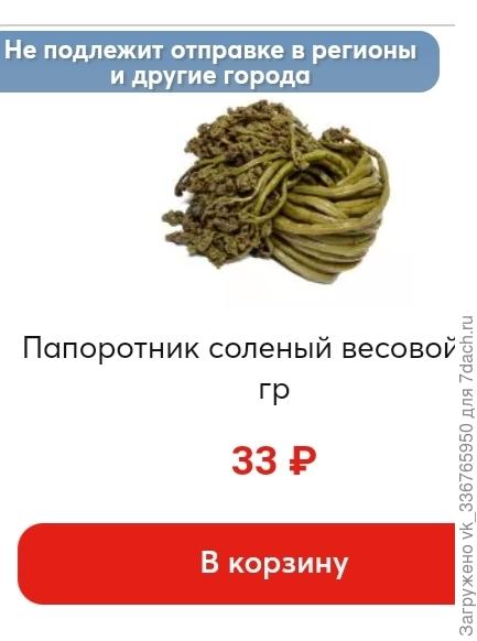 Папоротник