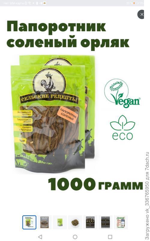 Папоротник