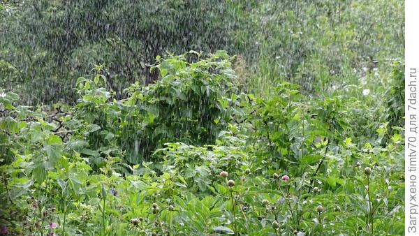 Вот это июнь!