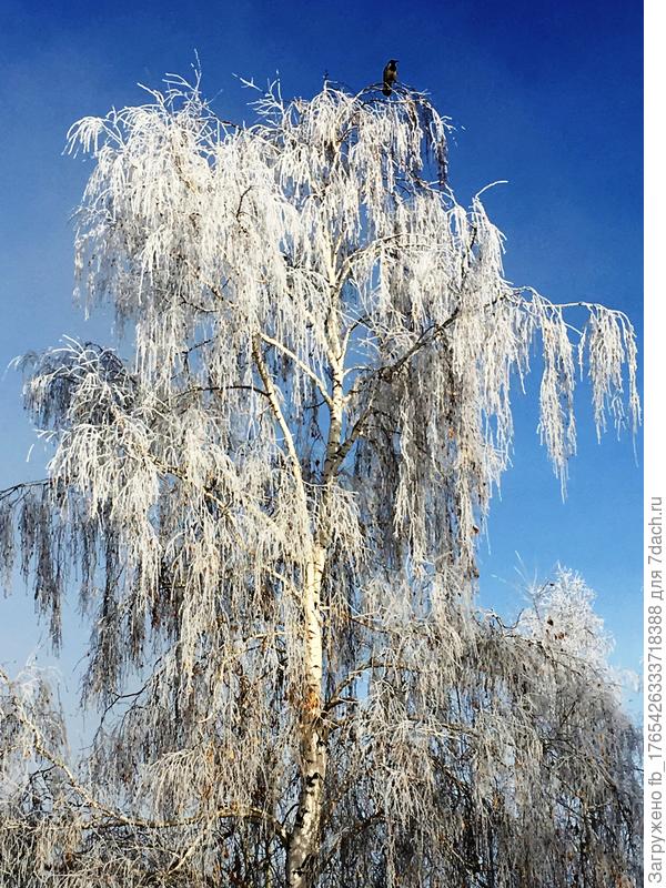Как в басне.