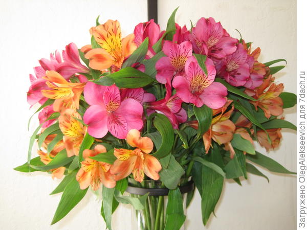 Букет цветов для тебя