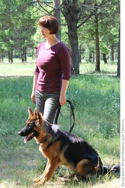 Тренировки никто не отменял!