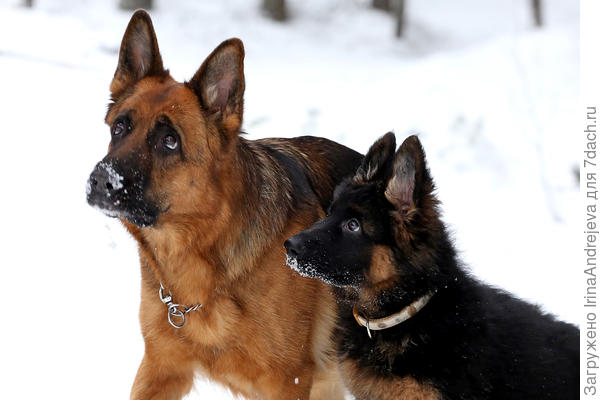 Ну кидай уже!