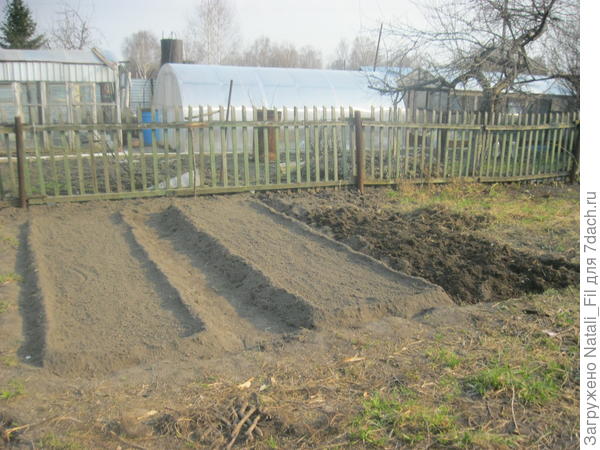 Как сделать лук из ветки фото 687
