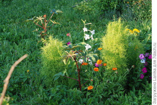 За песочницей, но уже в августе...