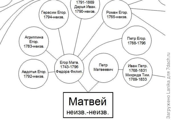Нижние корешки нашей фамилии