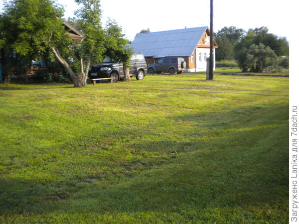 Все скошено почти под ноль, рядом с огородами, вокруг домов...