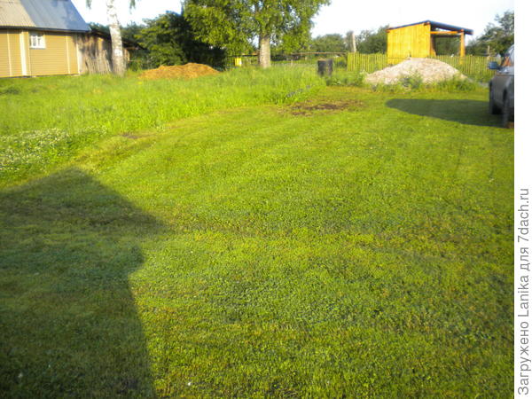 Сосед слева еще не успел скосить.