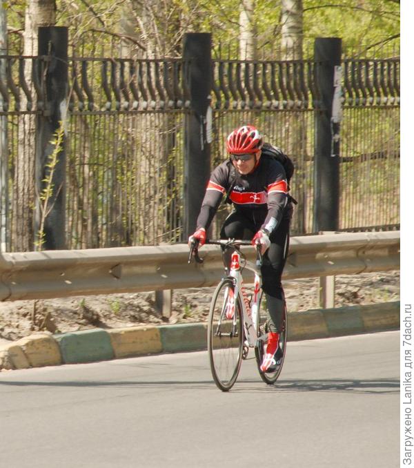 Дорога в черте города. Вело-дорожек нет нигде.