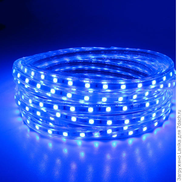 Синяя лента.