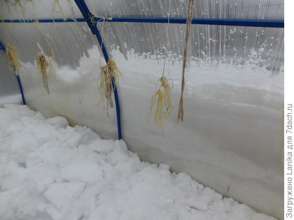 Видно, сколько снегу снаружи навалило...