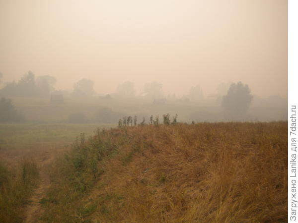 Август 2010-го, высохшая трава и дым от лесных пожаров.