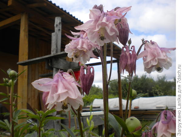 Хозблок с другой стороны.