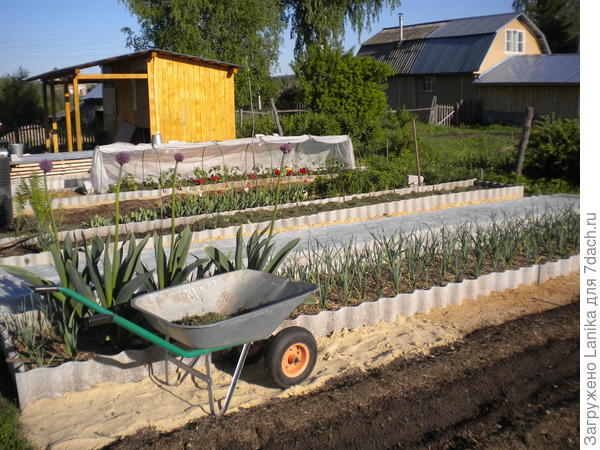 Постепенно устаиваем закрытые грядки, что значительно упрощает работу в огороде.