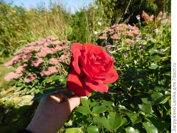 Спасибо за твои подарки нам всем.