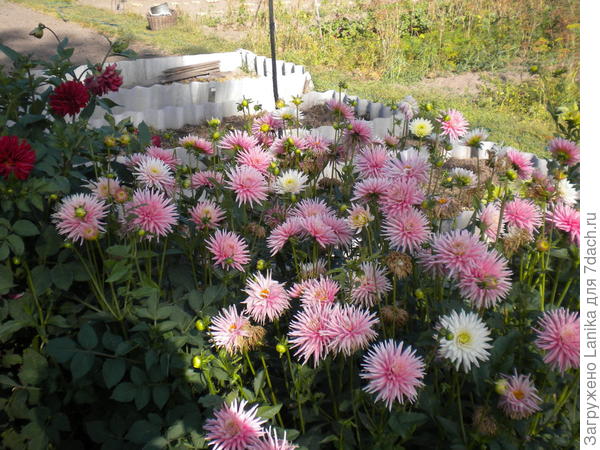 Это раньше...