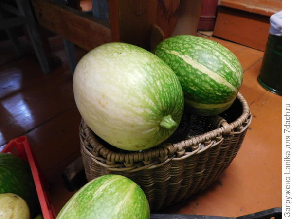 Это - самая большая