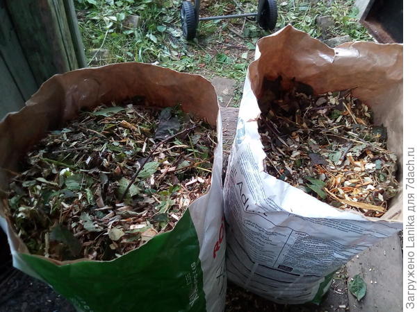 Фото Cozaaa (Татьяна Головко)