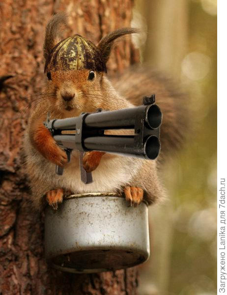 Типа того...