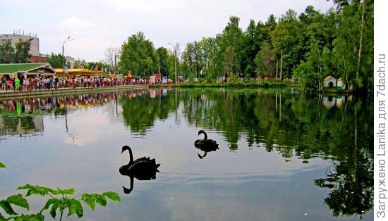 На этом фото видно, как там постепенно все застраивается, дербанится предпринимателями для выкачивания денег из отдыхающих.