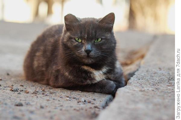 Вот это взгляд.