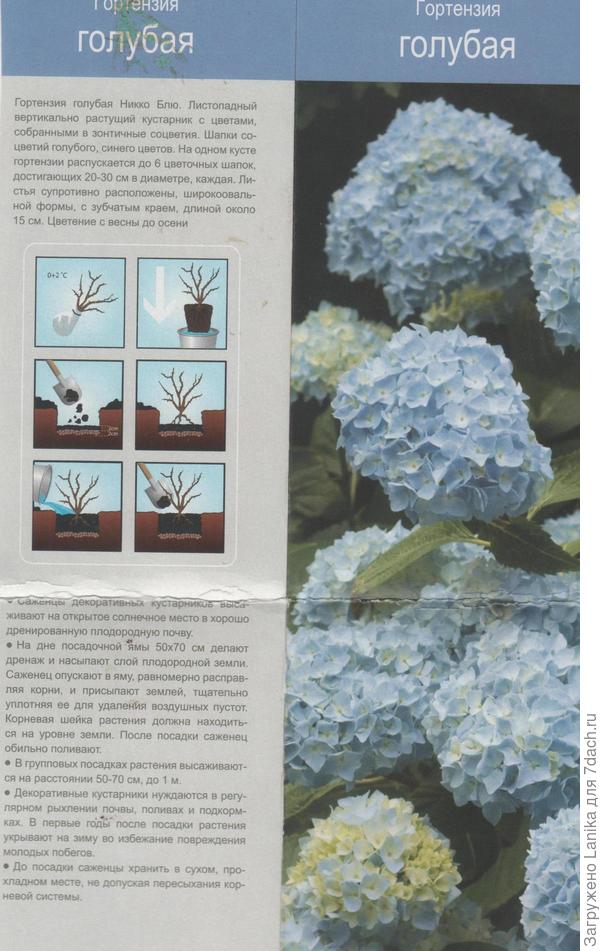 Это я купила в &amp;quot;Меге&amp;quot; весной 2015 года.