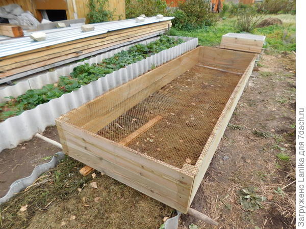 Заготовка 3х1. &quot;Сенеж&quot; практически не виден. Закрепили сетку от кротов. И так некрасиво!