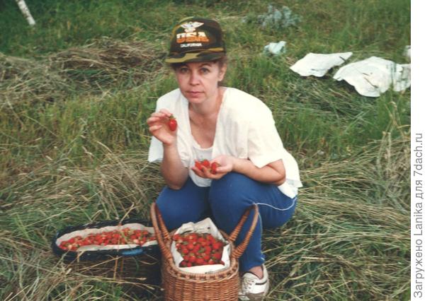 1993 год, на куске бывшего колхозного поля неплохой урожай. Мы полны надежд. Развал Союза, развал промышленности - просто нечем стало кормить двоих пацанов, выращивали необходимое - картошка, лук, морковь, огурцы, помидоры, кабачки. Ягоды - земляника, черная, красная смородина, жимолость, яблок не дождались.