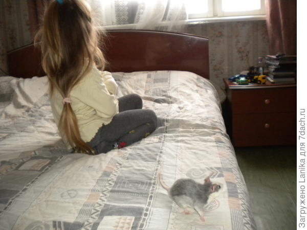 Уже подросший Мэйсон.