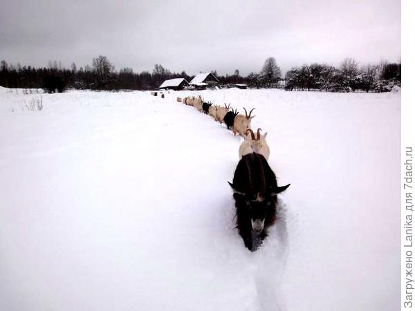 Вот так чуть-чуть светлее...