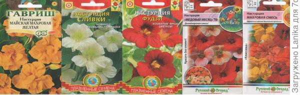 Я тогда все посеяла...