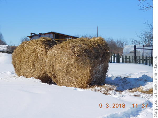Солома для земляники... Теперь главное переделать закрытые грядки - уложить снизу сетку от кротов. Покой нам только снится...