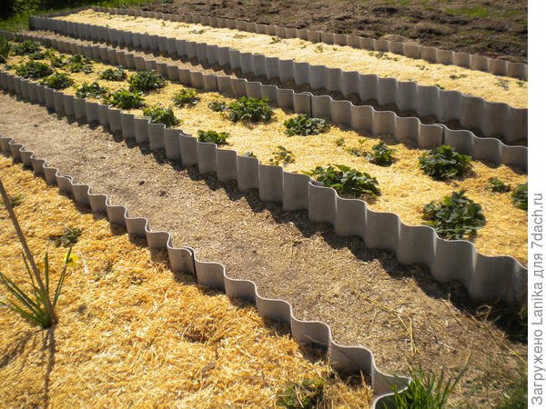 В тот год из мульчи только опилки были, фуганк почти непрерывно работал.