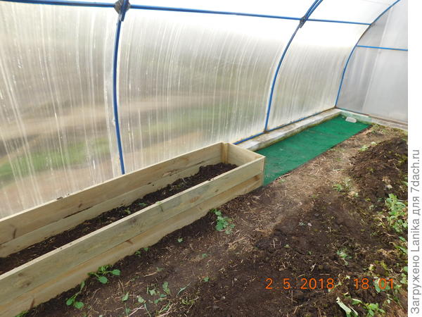 И в тепличках решили так-же сделать. В начале работы.