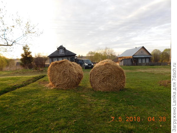 Пока нет времени докатить до огорода...