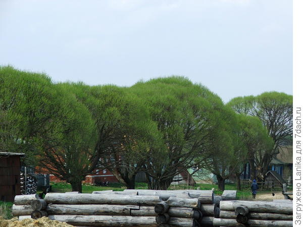 Винный Майдан