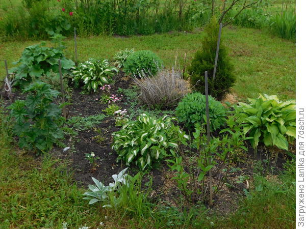 Было. Начало июня 2017.