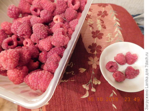 Замороженная октябрьская малина. Матовая с мороза из морозилки...